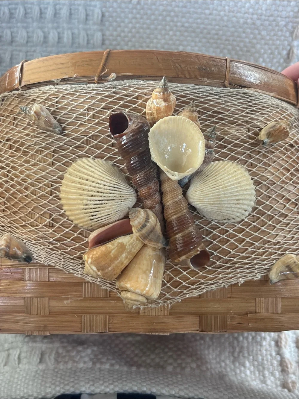 Handcrafted Seashell Accent Woven Straw Basket - Tan